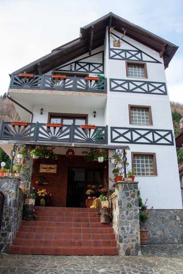 Casa Albert Синая Экстерьер фото