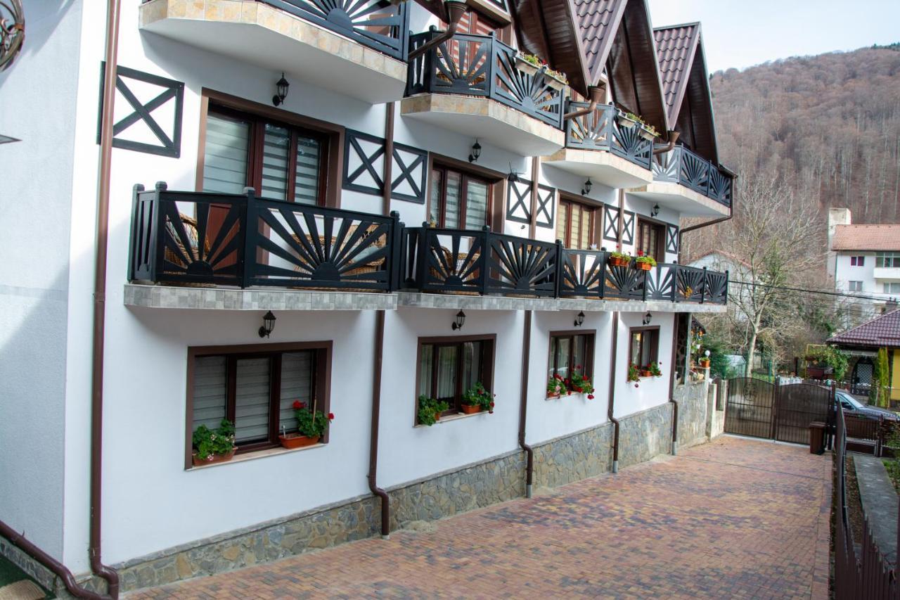 Casa Albert Синая Экстерьер фото